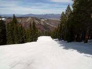 Afdaling Robinson´s