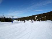 Oefenweide Gaiastova