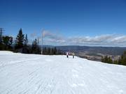 Top op 546 m in het skigebied Varingskollen