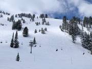 Steile pistes bij de stoeltjeslift Powderhorn II