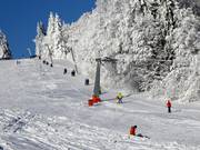 Almwiesenlift - Sleeplift met T-beugel/Ankerlift