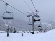 Littlecat Express - 4-persoons hogesnelheidsstoeltjeslift (koppelbaar)