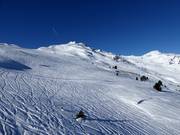Eindeloze poedersneeuwhellingen in het Hochzillertal