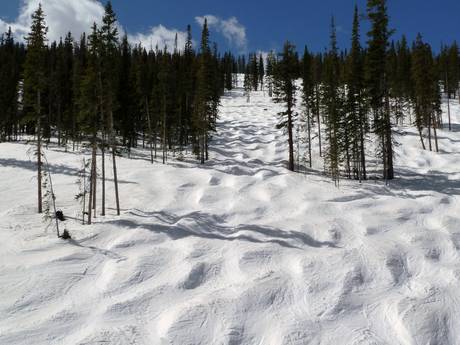 Skigebieden voor gevorderden en off-piste skiërs Front Range – Gevorderden, off-piste skiërs Winter Park Resort