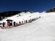 Tip voor de kleintjes 