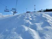 Buckelpiste bij de Front Slopes