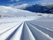 Ribbels in de ochtend