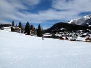 Makkelijke pistes in het skigebied van de Birkenlifte & Geigenbühel