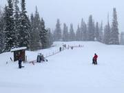 Transportband voor beginners bij het bergstation van de Red Pine Gondola