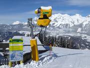 Sneeuwkanon op de Planai