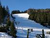 Skigebieden voor gevorderden en off-piste skiërs Neder-Beieren – Gevorderden, off-piste skiërs Geißkopf – Bischofsmais