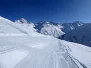 Gemakkelijke piste nr. 3a Wilder Mann