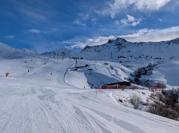 Frêne - © Michael Medek - Foto: Michael Medek