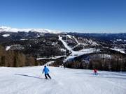 Zwarte Kruckenabfahrt