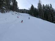 Zwarte afdaling nr. 14 Balbach-Ochsengarten