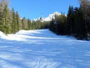 Dalafdaling Ochsenweide