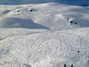 Veel vrije skiruimte