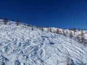 Freeridemogelijkheden bij de 6-persoons stoeltjeslift Thurntaler