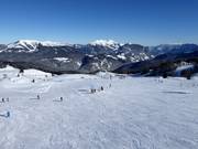 Brede Kammerkör-afdaling