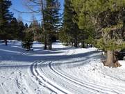 Hoogteloipe bij het bergstation van de 10-persoons gondelbaan