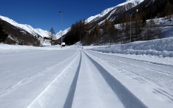 Langlaufen Lötschental – Langlaufen Lauchernalp – Lötschental