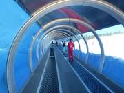 Moderne transportbanden brengen de beginners naar boven