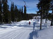 H10 Lången 1 - Sleeplift met T-beugel/Ankerlift