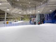 Oefenweide met transportband