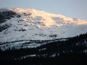 Veel ruimte om te freeriden