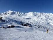 Makkelijke pistes bij Komperdell en Plansegg in Serfaus