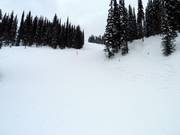 Afdaling Pitch Black