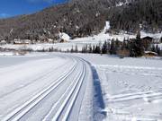 Hoogteloipe in Sulden