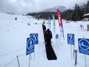 Oefenweide met transportband