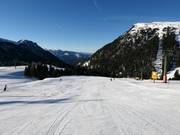 Gemakkelijke piste Campanil in Pampeago