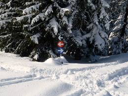 Kellerjoch – Schwaz