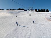 Piste bij de stoeltjeslift Floralpina