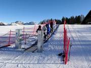 Transportband Ciampedie