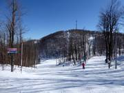 Gemakkelijke piste Calgary