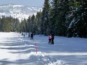 Haldenköpflelift 1 - Sleeplift met T-beugel/Ankerlift