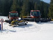 De pistebully's van Bialy Potok