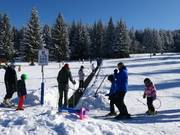 F2. Plešivec - Transportband/Moving Carpet