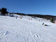 Lichte en brede pistes in Zieleniec
