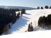 Skigebieden voor gevorderden en off-piste skiërs Hochsauerlanddistrict – Gevorderden, off-piste skiërs Postwiesen Skidorf – Neuastenberg