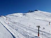 Uitzicht op de lichte Almwiese
