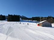 Hoofd- en verlichte afdaling