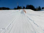 Kapellenlift - Sleeplift met T-beugel/Ankerlift