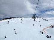 Gemakkelijke piste Baldy