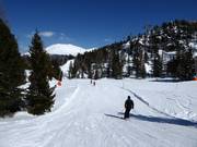 Märchenwald-afdaling