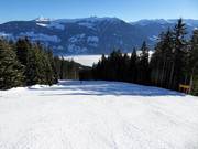 Dalafdaling naar Fügen