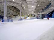 Oefenweide met transportband